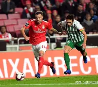 爱游戏体育app下载-赛地聚焦——葡超转会期热度飙升,拜仁慕尼黑扳平良机,震撼外界,轮换策略成焦点的简单介绍